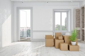 Cleanieup Cleaning Services