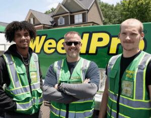 Weed Pro Lawn Care